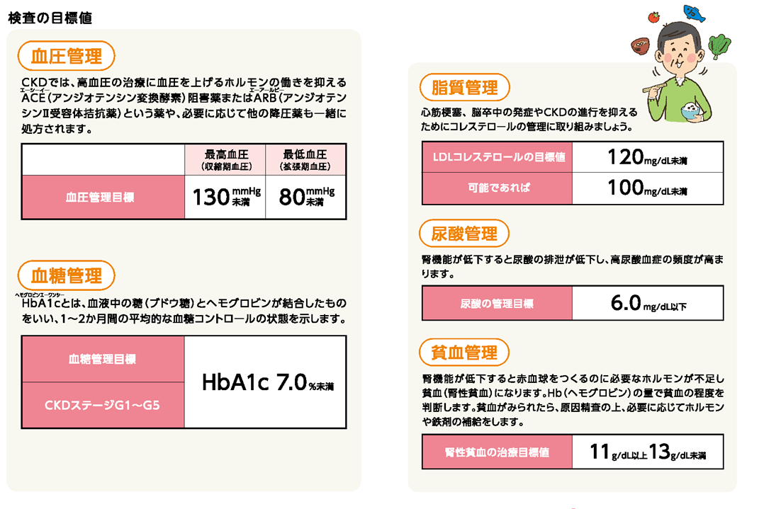 腎臓をいたわる生活のポイント